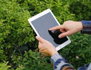 Matérias de agronomia