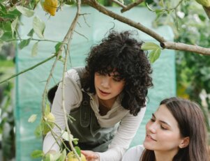 Agrônomo ganha reputação com inovação no campo