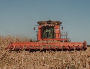 0 dicas para se preparar para o vestibular de Agronomia