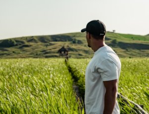 Quanto ganha um agrônomo recém-formado.