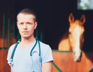 ganha veterinário autonomo-Por Chalabala-no Envato Elements