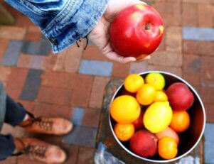 Agronomia e engeharia de alimentos