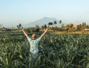 Como são os primeiros anos de Agronomia?