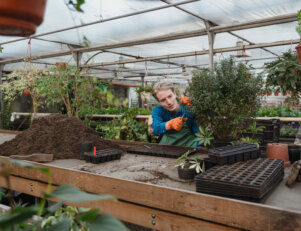 arquitetura de paisagem