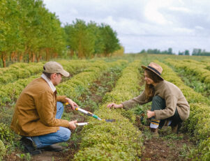 9 profissões para fugir do escritório