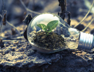 economia verde e profissoes em alta