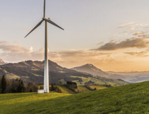 empreender em Engenharia Ambiental - por Pixabay em Pexels