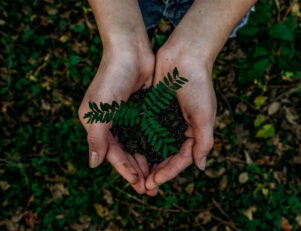 curso de Gestão Ambiental