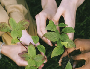 Várias pessoas segurando mudas de plantas