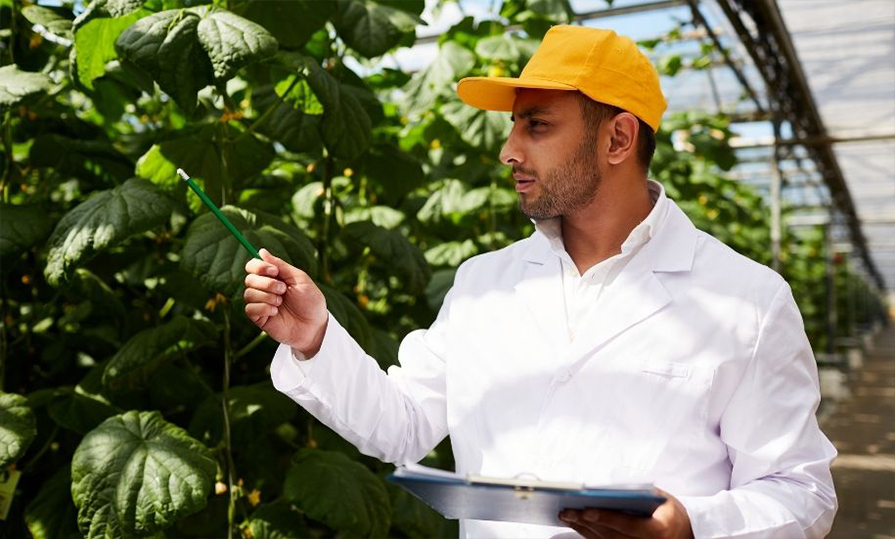 Qual a grade curricular do curso de Engenharia Ambiental