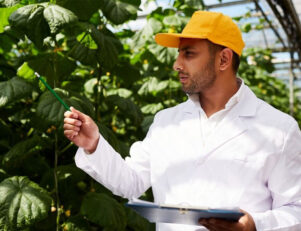 Qual a grade curricular do curso de Engenharia Ambiental