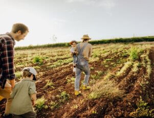 Agronomia x 3° Setor: qual a relação?