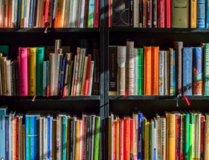 quando surgiu o MEC - por Pixabay em Pexels