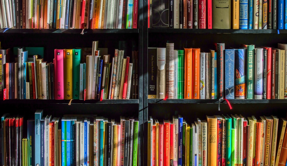 quando surgiu o MEC - por Pixabay em Pexels