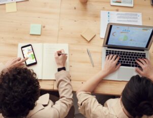 Faculdade de Gestão de Negócios: como funciona